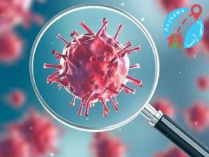 آزمایش آنتی بادی ویروس کرونا چه تفاوتی با سایر تست های تشخیصی کووید 19 دارد؟