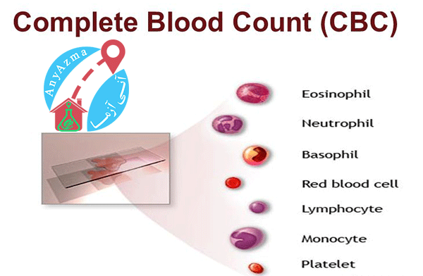 آزمایش کم خونی چیست و در چه مواردی درخواست می شود؟