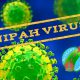 ویروس نیپا بیماری دیگری که ممکن است همه گیر شود!