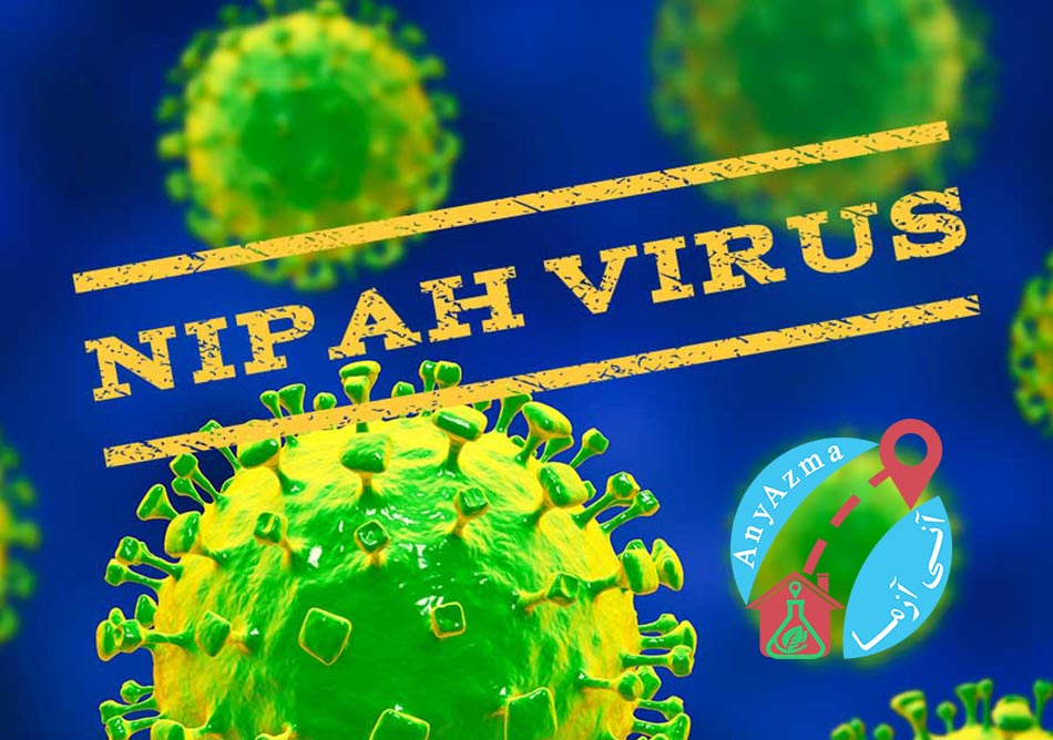 ویروس نیپا بیماری دیگری که ممکن است همه گیر شود!