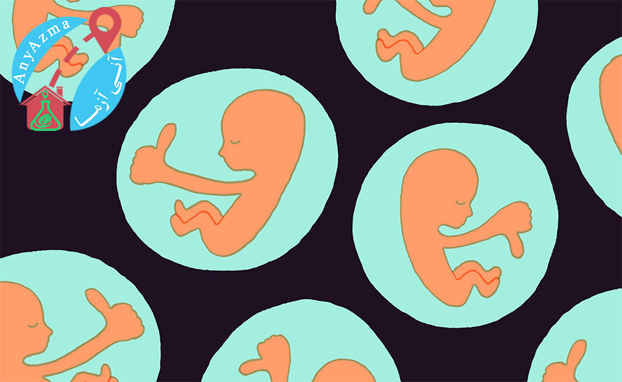 آزمایشات دوران بارداری در سه ماهه نخست، دوم و سوم