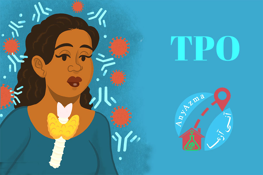 اختلالات TPO و تاثیر آن بر بارداری