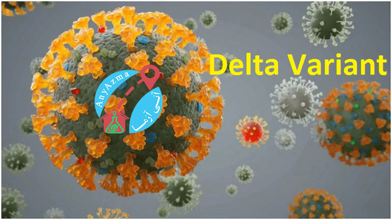همه چیز در مورد دلتا ویروس کرونا