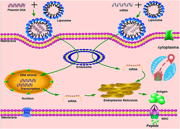  واکسن آنفلوانزا mRNA