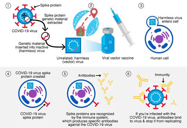 انواع روش های ساخت واکسن کروناویروس