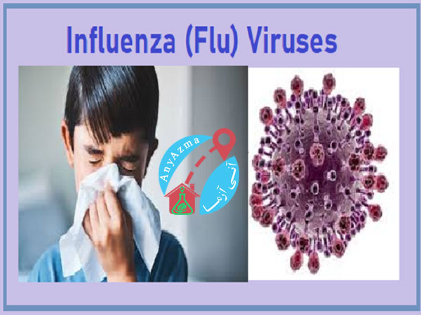 مزمن شدن بیماری آنفلوآنزا