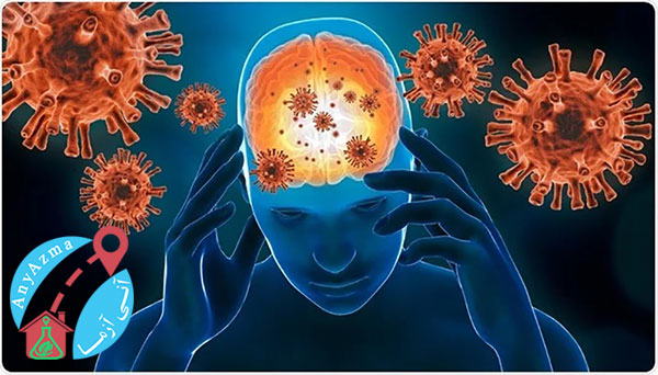 ویروس کرونا چگونه وارد مغز شود؟