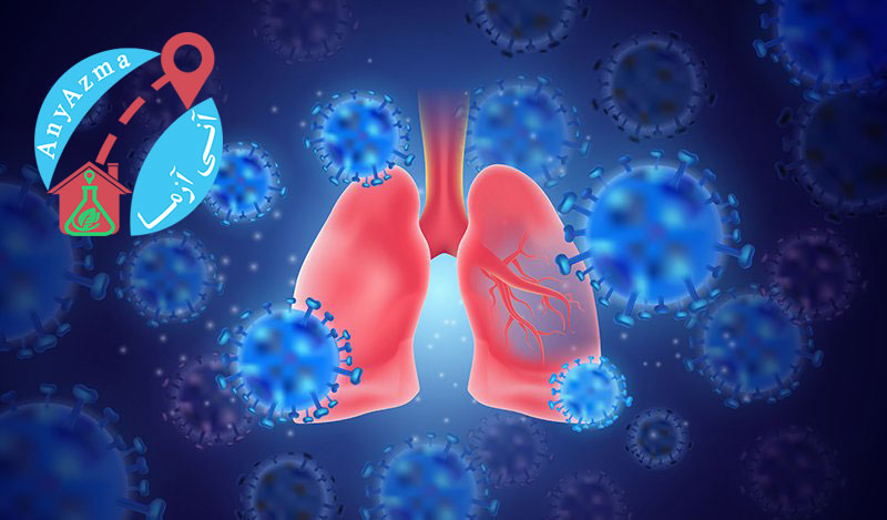کشف سرنخ‌های جدید درباره انتشار ویروس کرونا در ریه