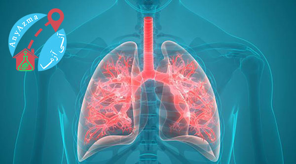 سالم نگه‌داشتن ریه در برابر عفونت‌های تنفسی مانند کرونا
