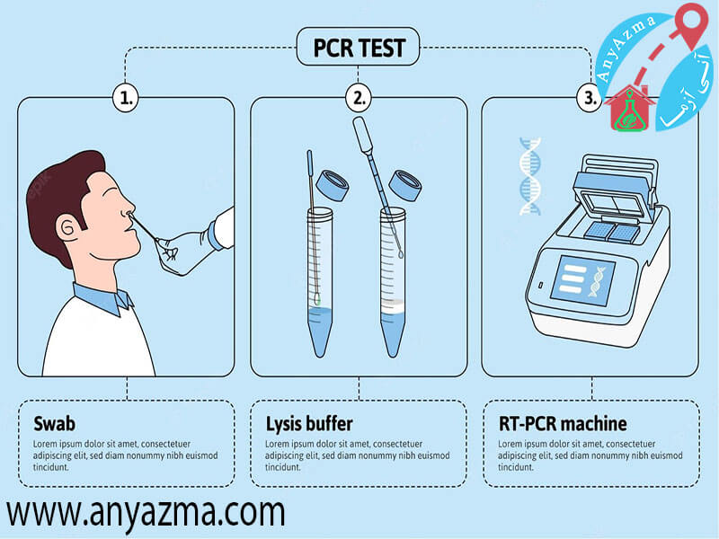 مراحل دریافت نمونه PCR