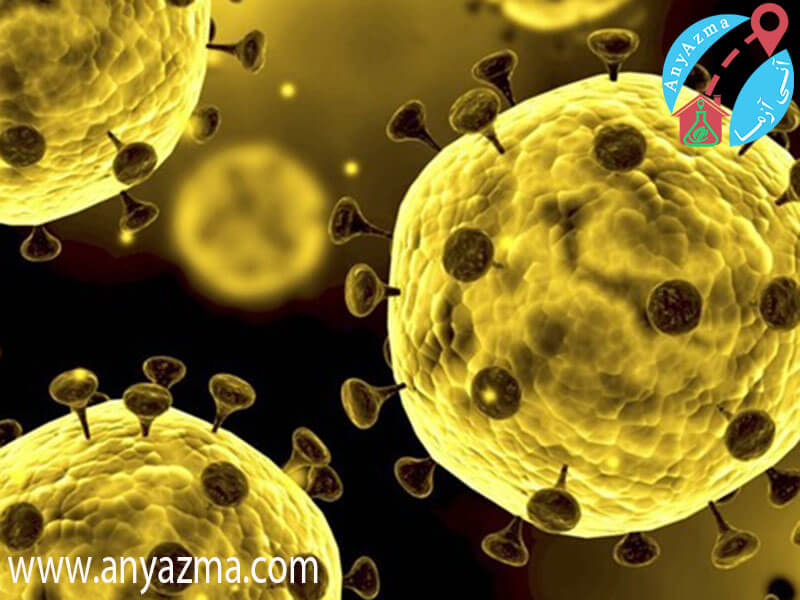 آخرین وضعیت ویروس کرونا در دنیا