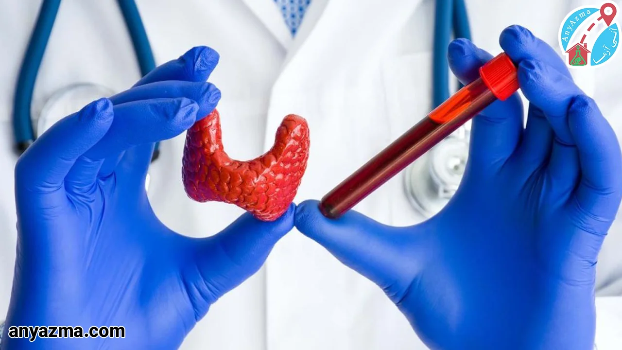 تیروئید کم کار را می توان با بررسی علائم بیماری، نتایج آزمایش خون و سونوگرافی تیروئید تشخیص داد. 