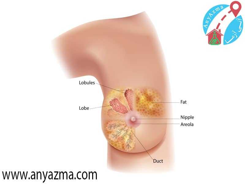 تشخیص سرطان سینه