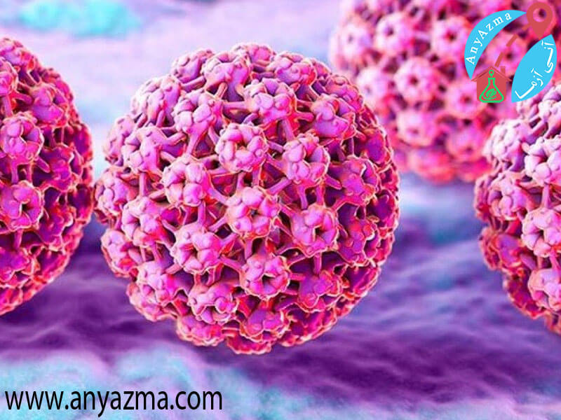 انواع ویروس HPV و خطرات آن