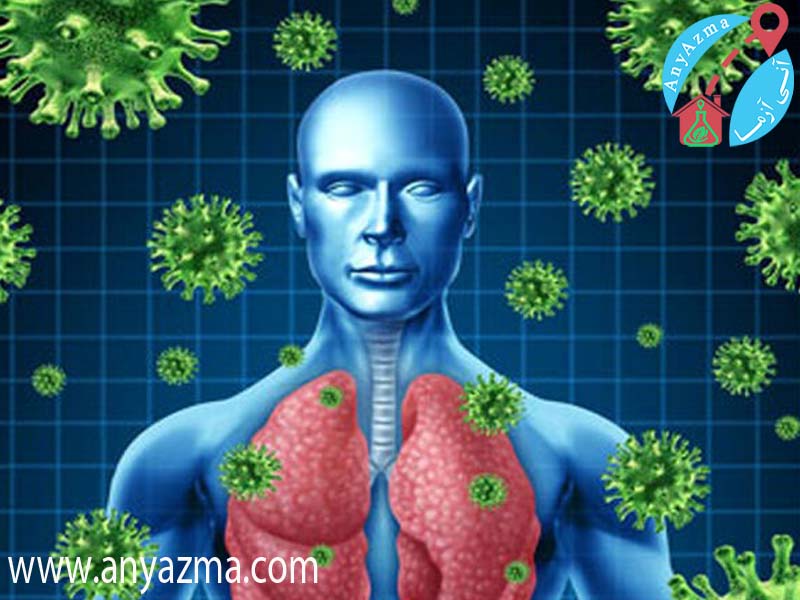 سیستم ایمنی بدن چگونه کار می کند؟نقش گلبول های سفید در بدن حمله ویروس ها به سراسر بدن