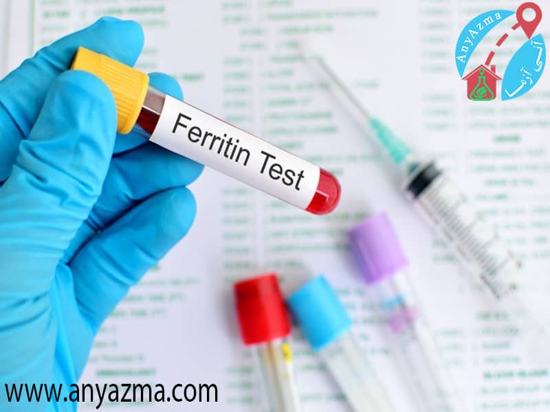 ferritin در آزمایش خون چیست