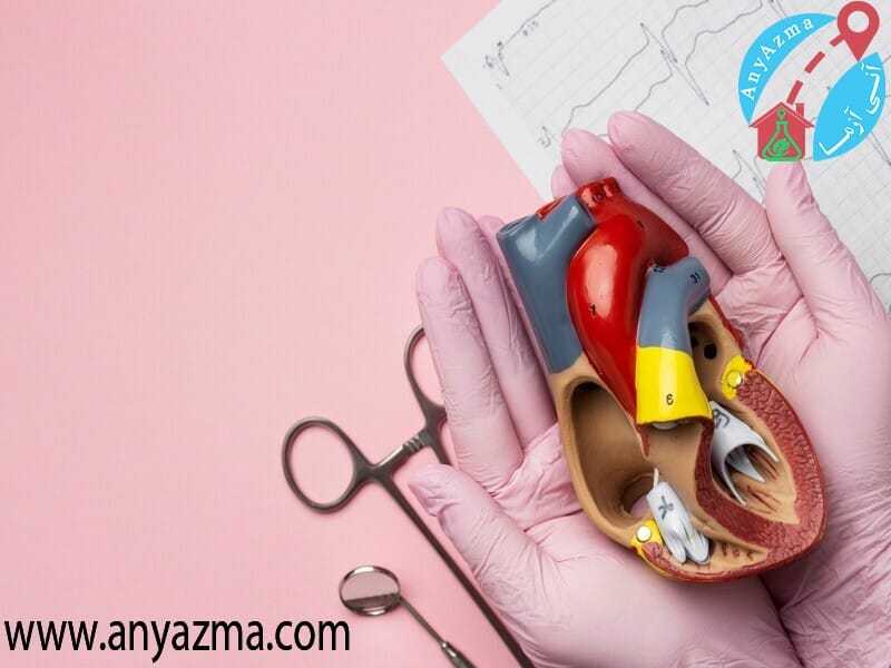 علامت اختصاری کبد چرب در آزمایش، نشان دهنده تراکم چربی در کبد