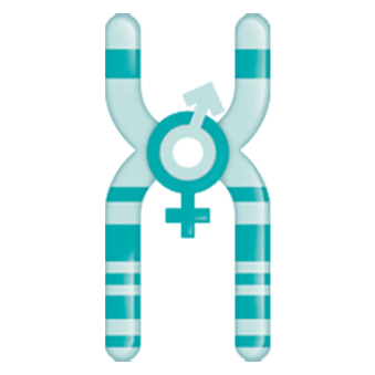 آزمايشگاه كريمی نژاد- نجم آبادی