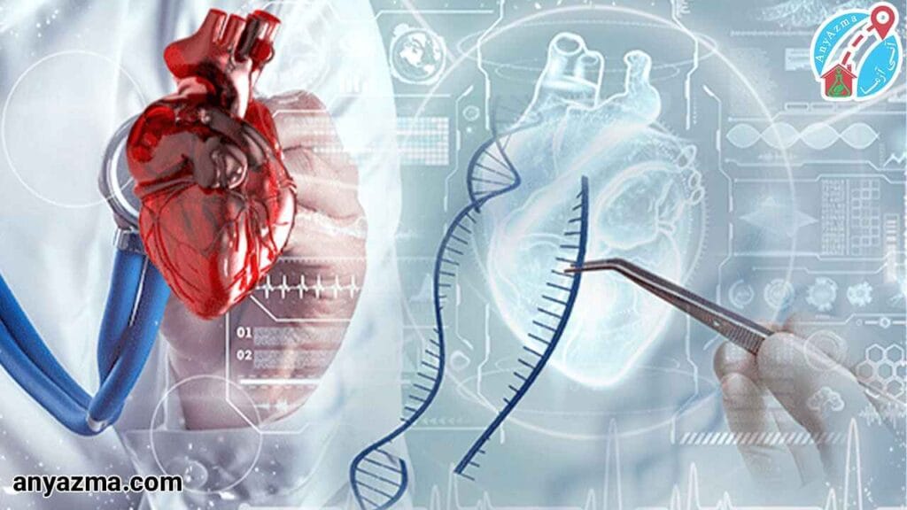 مراحل انجام چکاپ ویژه قلب