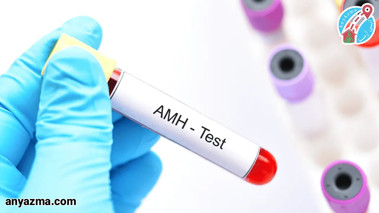 آزمایش AMH چیست