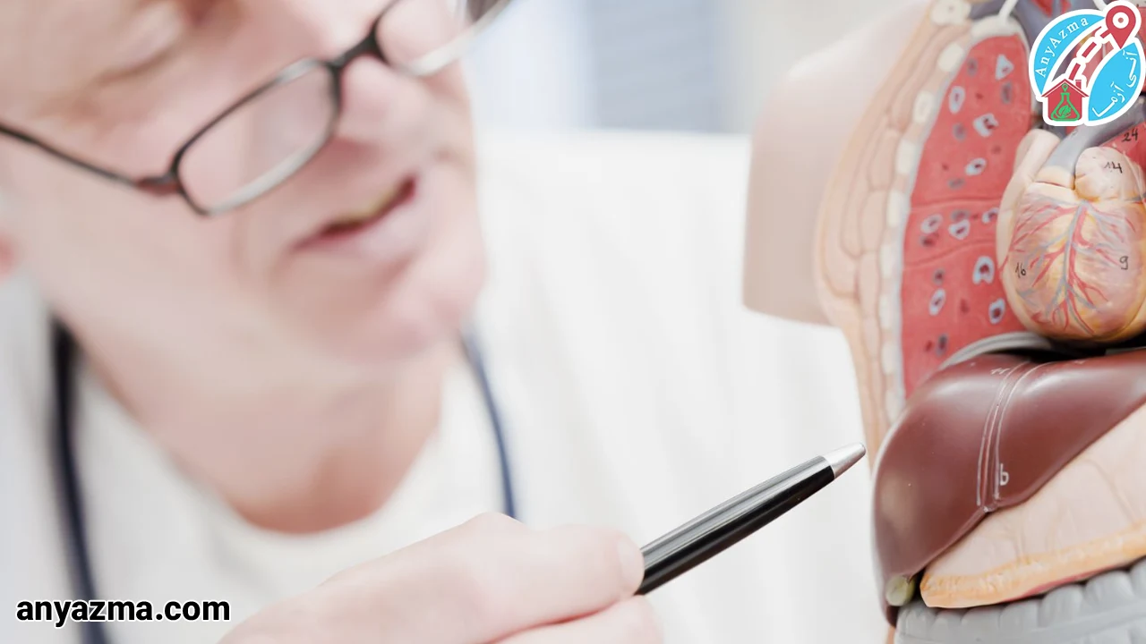 چرا چکاپ کبد اهمیت دارد