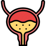 سونوگرافی مثانه در منزل