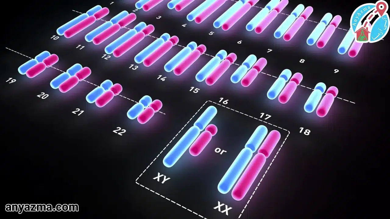 آزمایش کاریوتایپ در منزل
