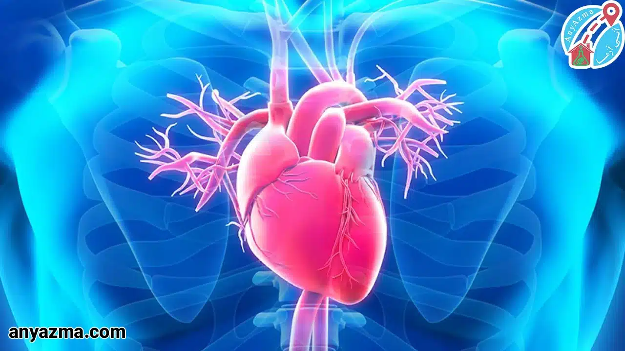 آیا بزرگ شدن قلب باعث مرگ میشود؟