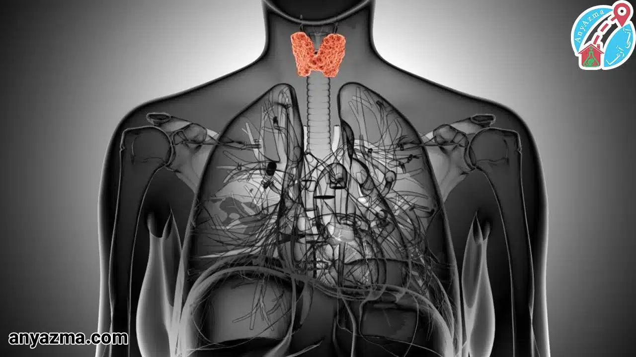 علت بوجود آمدن تیروئید پرکار