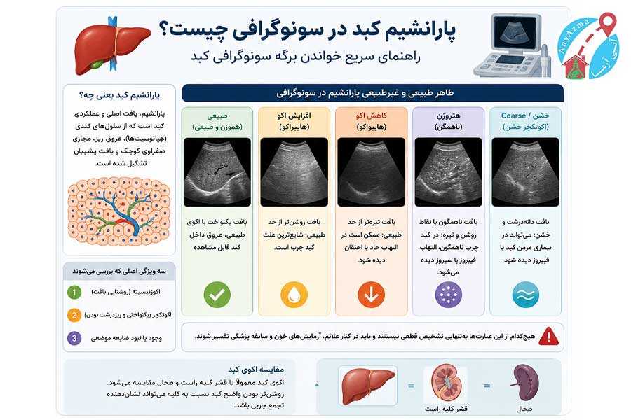 راهنمای خواندن برگه سونوگرافی کبد