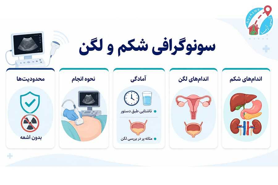 اینفوگرافی سونوگرافی شکم و لگن