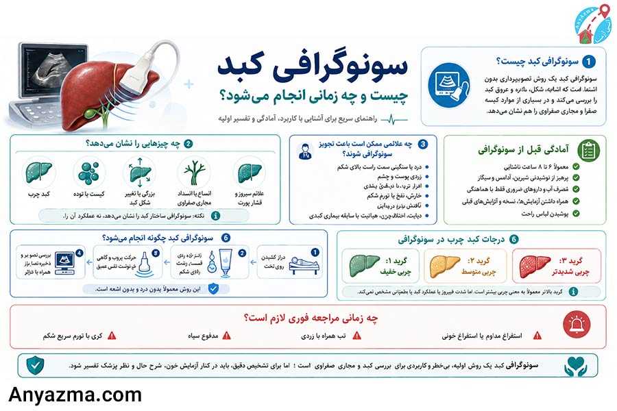 اینفوگرافی سونوگرافی کبد