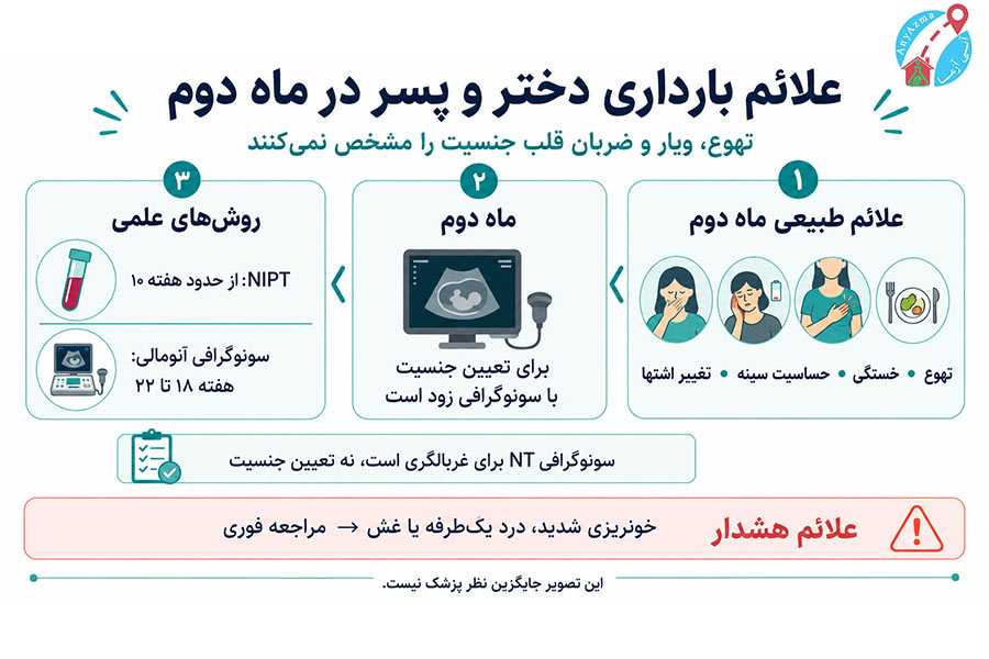 اینفوگرافی علائم بارداری دختر و پسر در ماه دوم