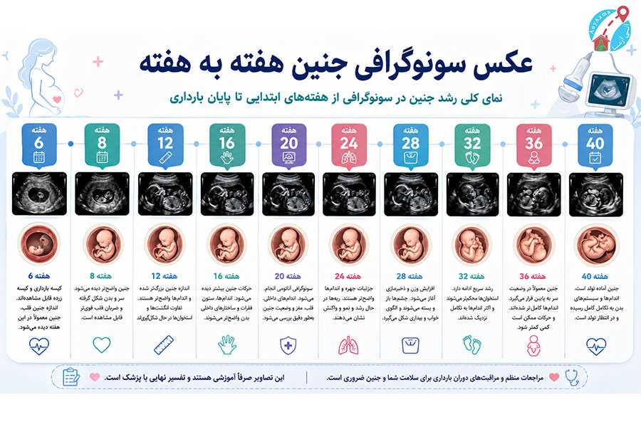 عکس سونوگرافی جنین هفته به هفته از هفته های ابتدایی تا پایانی