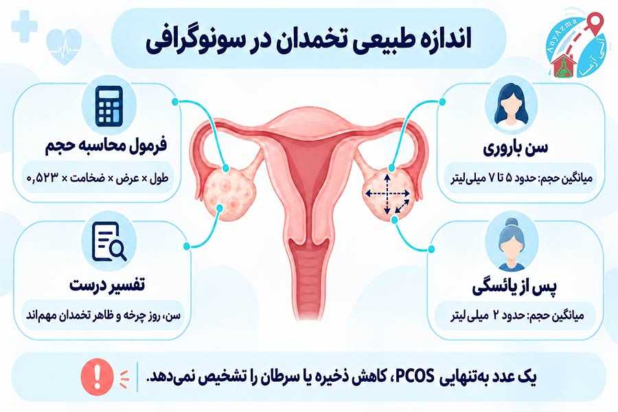 اینفوگرافی اندازه طبیعی تخمدان در سونوگرافی