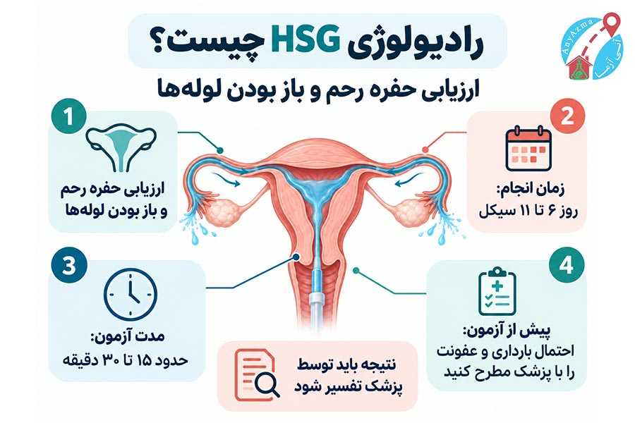 اینفوگرافی رادیولوژی HSG